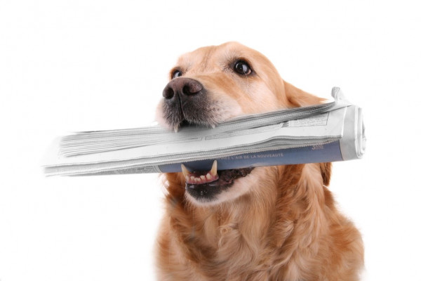 Курс турецкой лиры к ведущим мировым валютам: информация 10 сентября, спад или рост