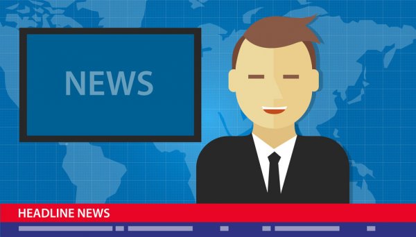 Великолучанин осужден за выращивание и хранение конопли