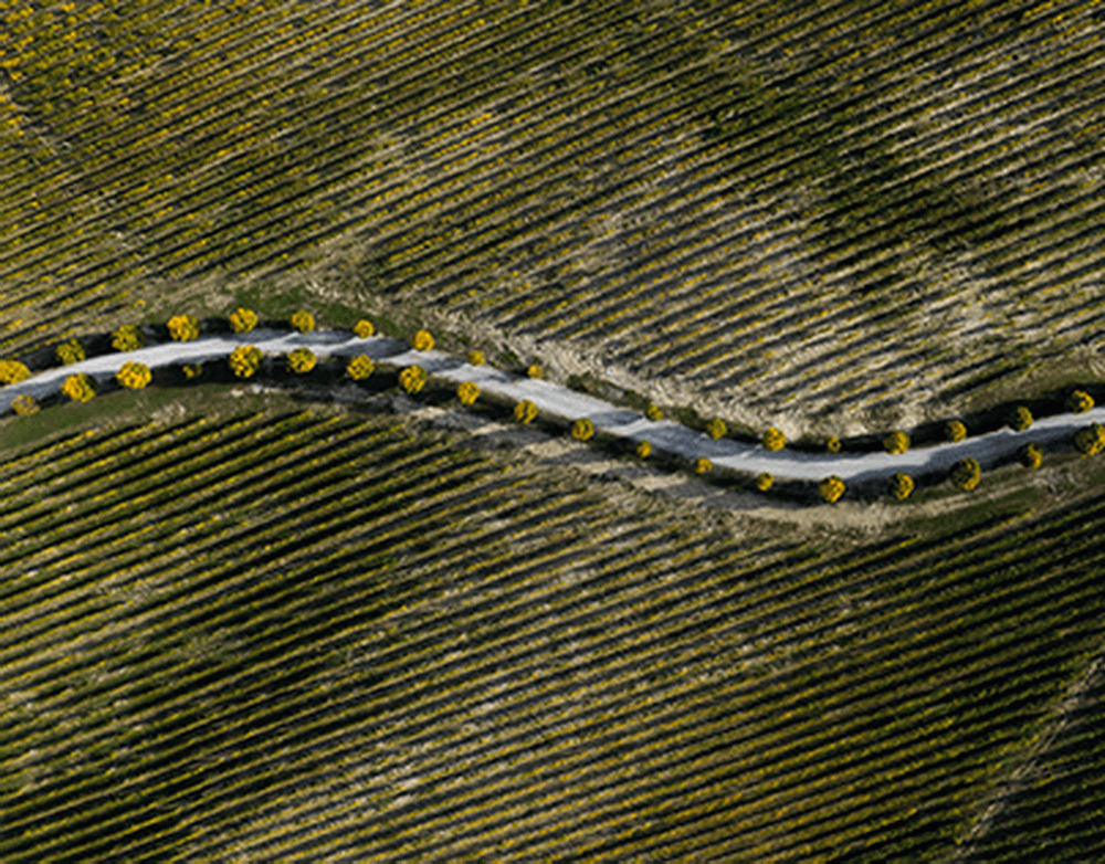 Землетрясение произошло в Тыве